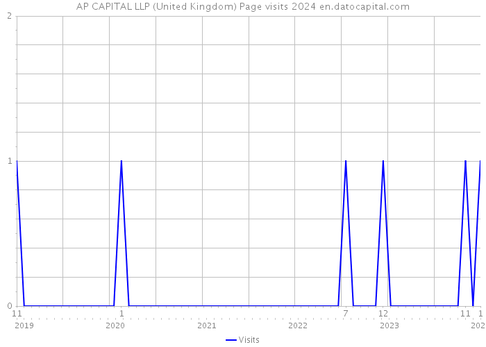 AP CAPITAL LLP (United Kingdom) Page visits 2024 