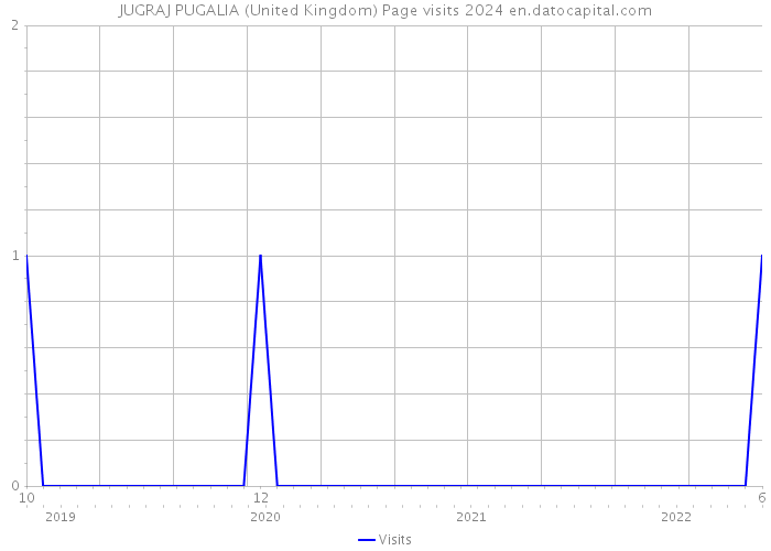 JUGRAJ PUGALIA (United Kingdom) Page visits 2024 