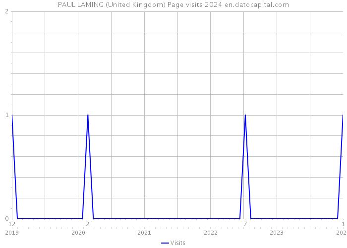 PAUL LAMING (United Kingdom) Page visits 2024 