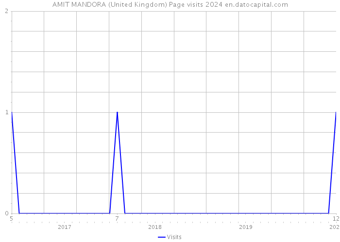 AMIT MANDORA (United Kingdom) Page visits 2024 