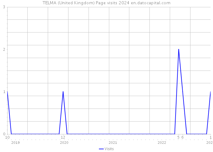 TELMA (United Kingdom) Page visits 2024 