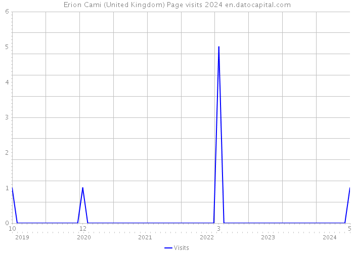 Erion Cami (United Kingdom) Page visits 2024 