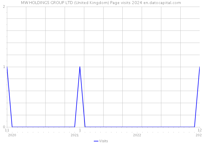MW HOLDINGS GROUP LTD (United Kingdom) Page visits 2024 