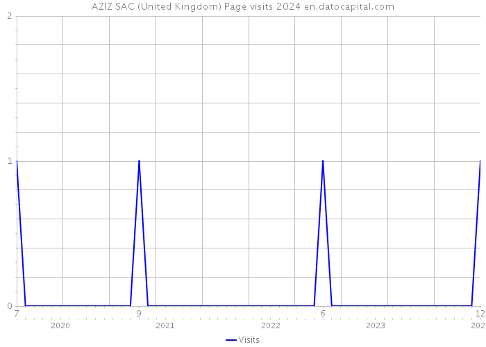 AZIZ SAC (United Kingdom) Page visits 2024 