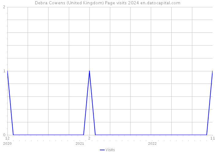 Debra Cowens (United Kingdom) Page visits 2024 