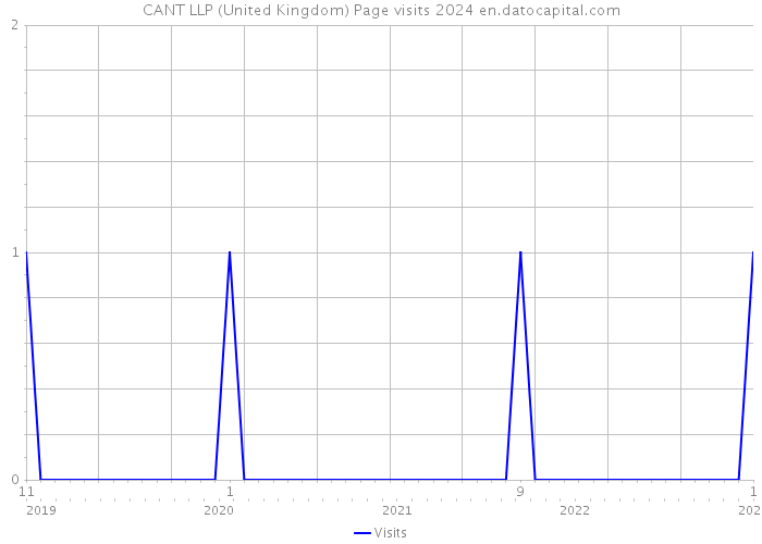 CANT LLP (United Kingdom) Page visits 2024 