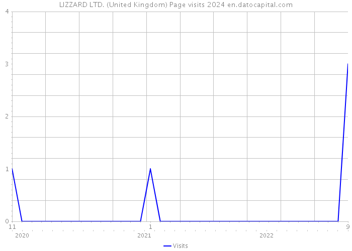 LIZZARD LTD. (United Kingdom) Page visits 2024 