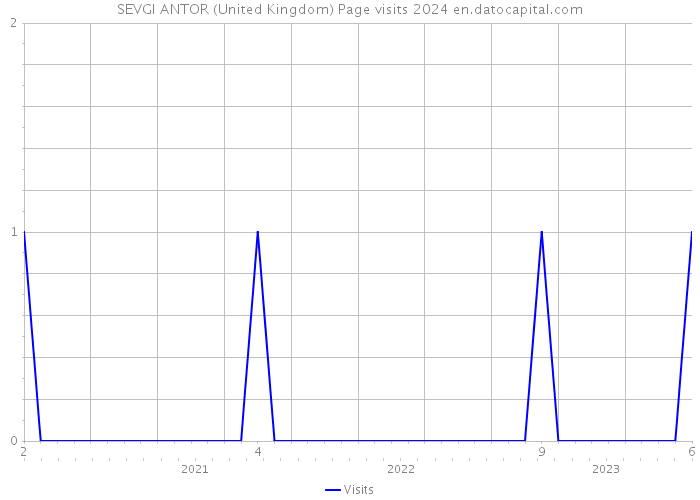 SEVGI ANTOR (United Kingdom) Page visits 2024 