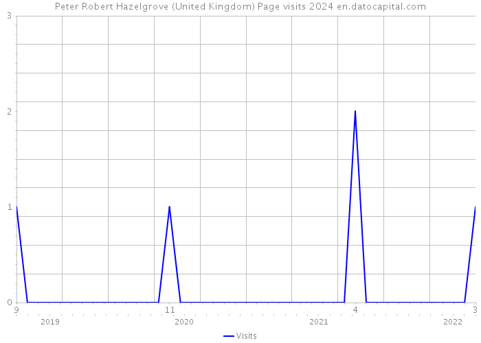 Peter Robert Hazelgrove (United Kingdom) Page visits 2024 