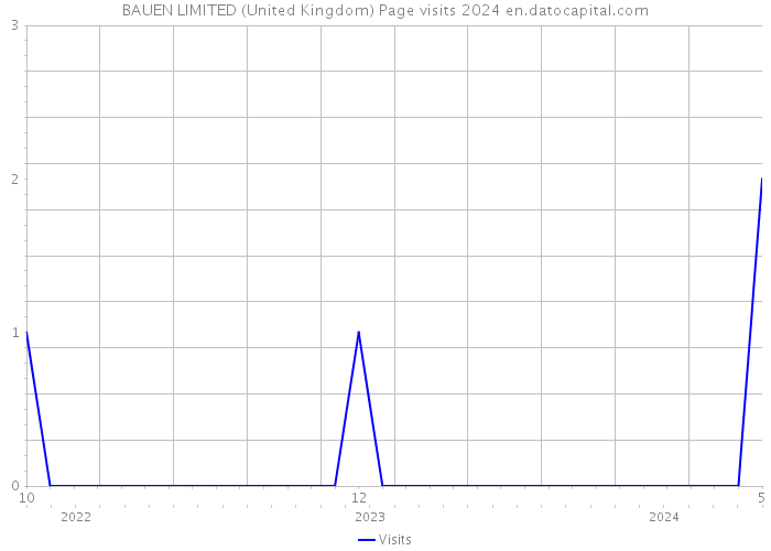 BAUEN LIMITED (United Kingdom) Page visits 2024 
