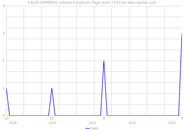 KALIN KAMENOV (United Kingdom) Page visits 2024 