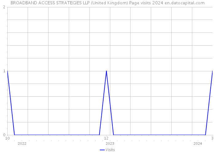 BROADBAND ACCESS STRATEGIES LLP (United Kingdom) Page visits 2024 