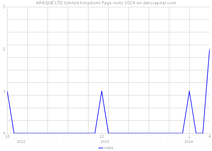 ARAQUE LTD (United Kingdom) Page visits 2024 
