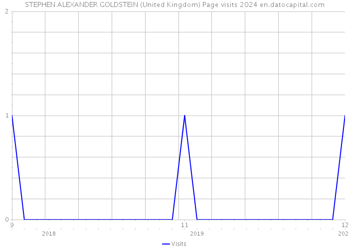STEPHEN ALEXANDER GOLDSTEIN (United Kingdom) Page visits 2024 