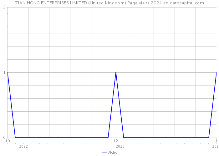 TIAN HONG ENTERPRISES LIMITED (United Kingdom) Page visits 2024 
