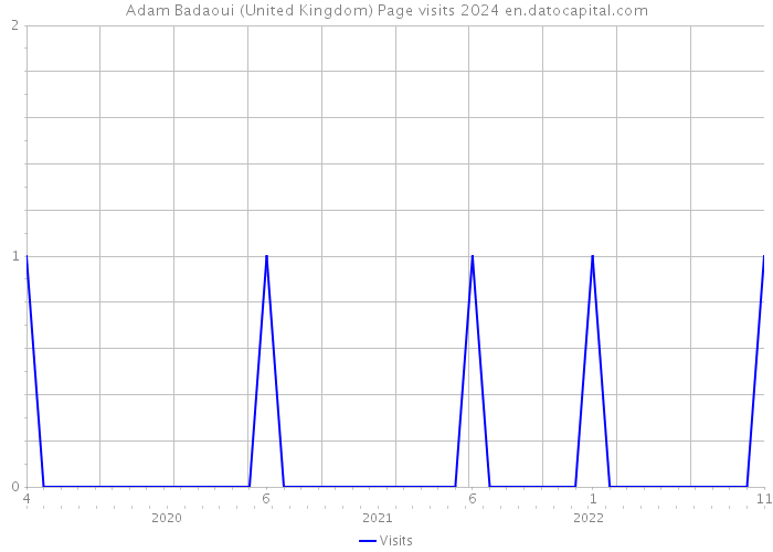 Adam Badaoui (United Kingdom) Page visits 2024 