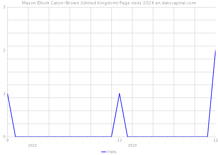 Mason Elliott Caton-Brown (United Kingdom) Page visits 2024 