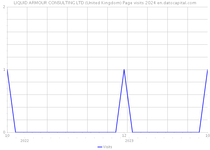 LIQUID ARMOUR CONSULTING LTD (United Kingdom) Page visits 2024 