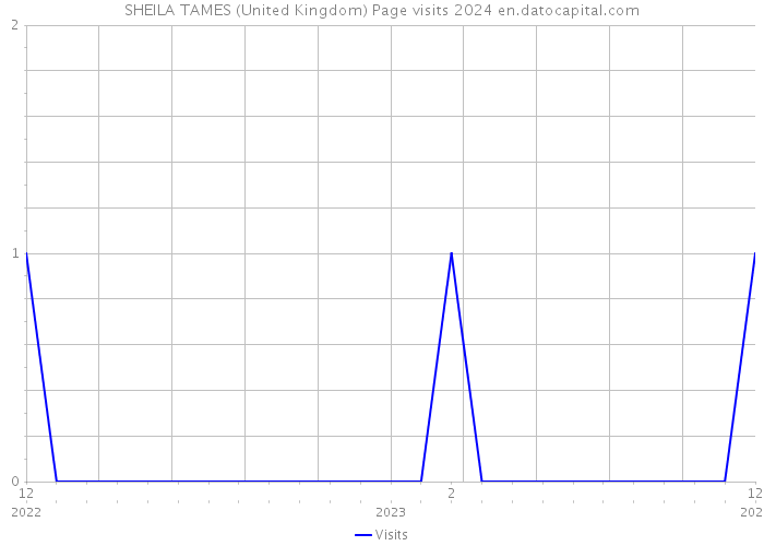 SHEILA TAMES (United Kingdom) Page visits 2024 