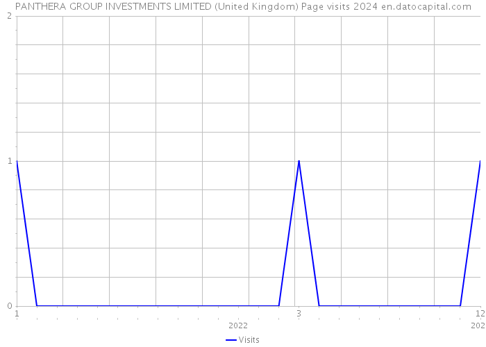 PANTHERA GROUP INVESTMENTS LIMITED (United Kingdom) Page visits 2024 