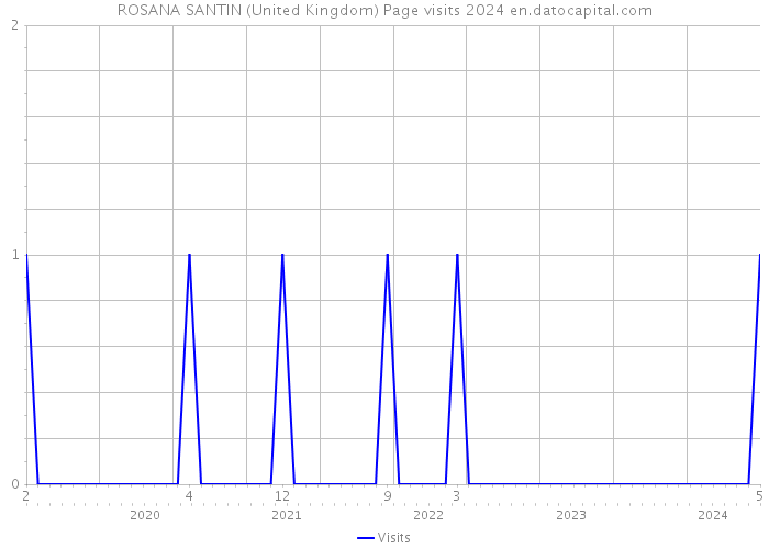 ROSANA SANTIN (United Kingdom) Page visits 2024 