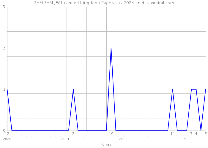SAM SAM JEAL (United Kingdom) Page visits 2024 