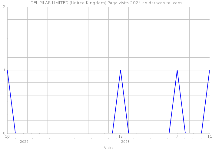 DEL PILAR LIMITED (United Kingdom) Page visits 2024 