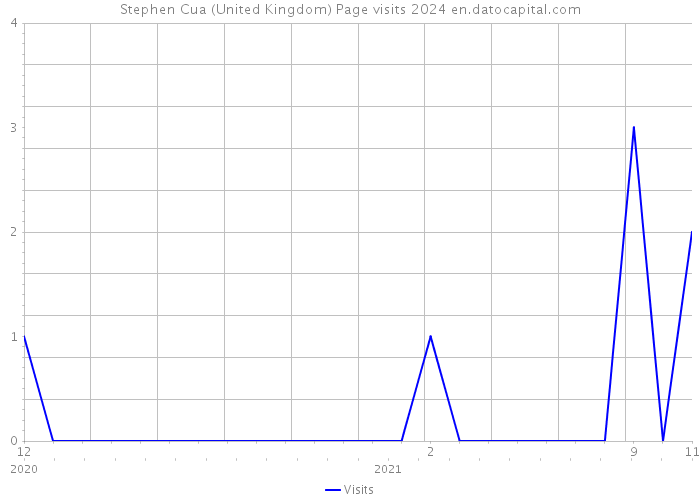 Stephen Cua (United Kingdom) Page visits 2024 