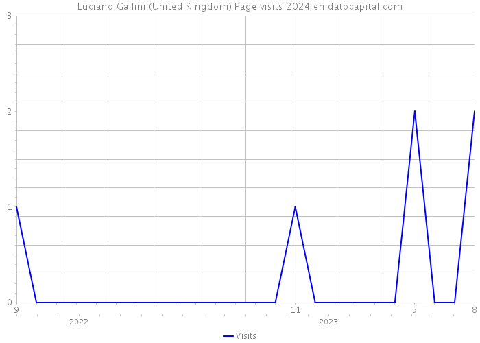 Luciano Gallini (United Kingdom) Page visits 2024 