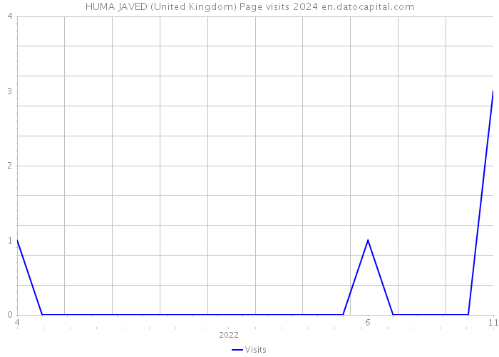HUMA JAVED (United Kingdom) Page visits 2024 