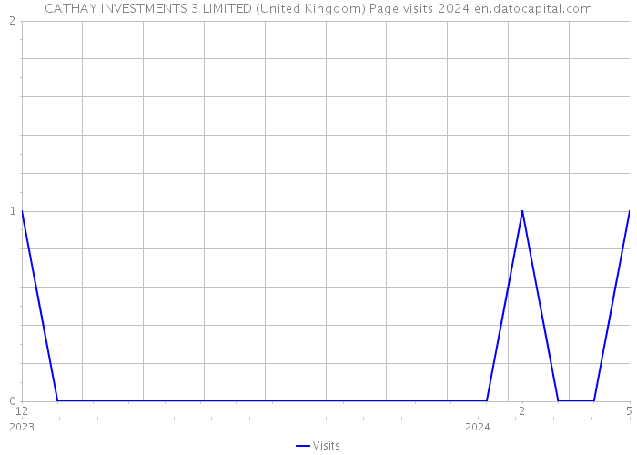 CATHAY INVESTMENTS 3 LIMITED (United Kingdom) Page visits 2024 