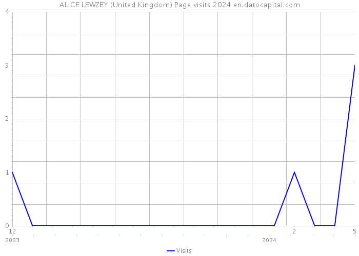 ALICE LEWZEY (United Kingdom) Page visits 2024 