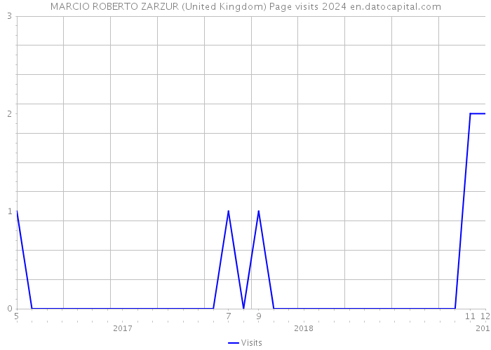 MARCIO ROBERTO ZARZUR (United Kingdom) Page visits 2024 