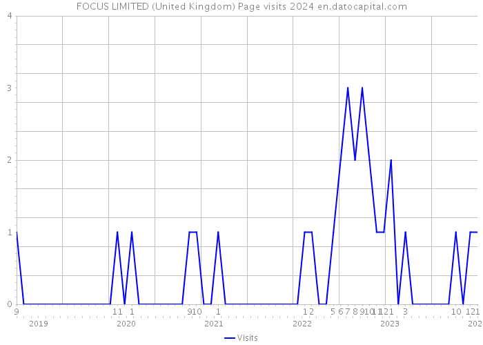 FOCUS LIMITED (United Kingdom) Page visits 2024 