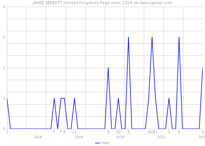 JAMIE SENNITT (United Kingdom) Page visits 2024 
