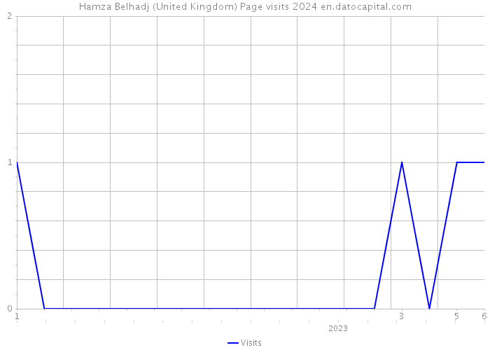 Hamza Belhadj (United Kingdom) Page visits 2024 