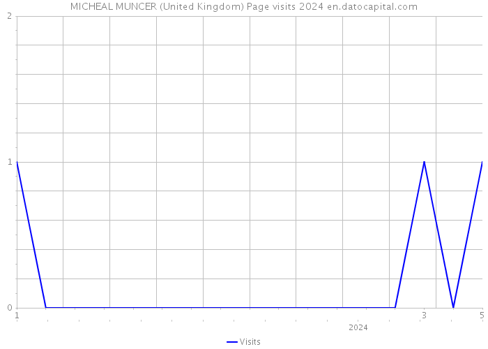 MICHEAL MUNCER (United Kingdom) Page visits 2024 