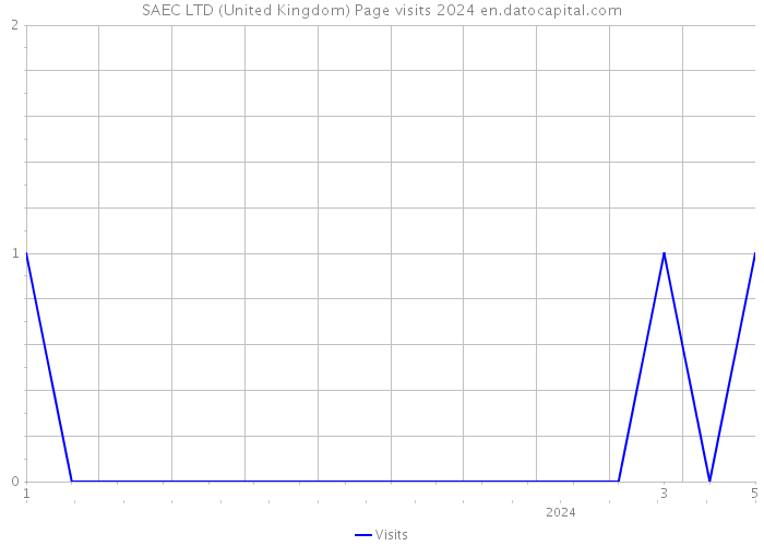 SAEC LTD (United Kingdom) Page visits 2024 