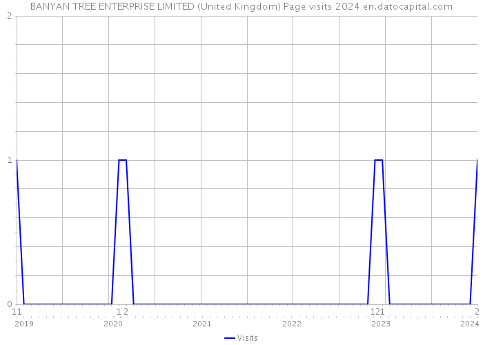 BANYAN TREE ENTERPRISE LIMITED (United Kingdom) Page visits 2024 