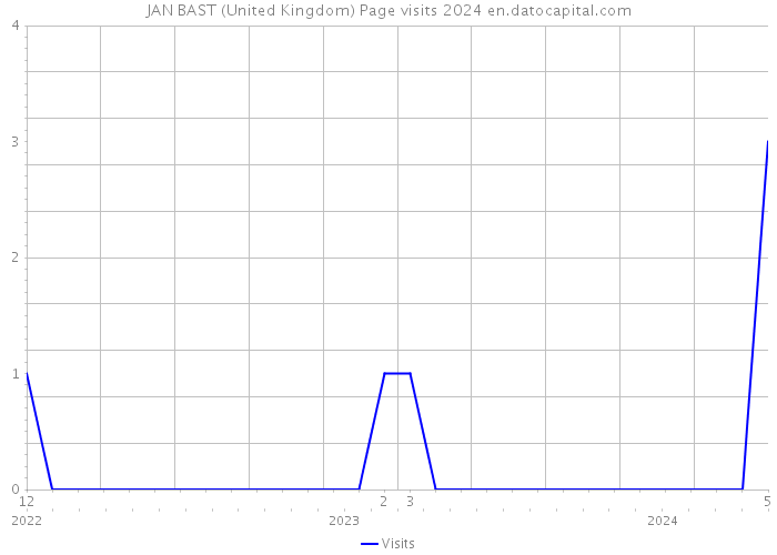 JAN BAST (United Kingdom) Page visits 2024 