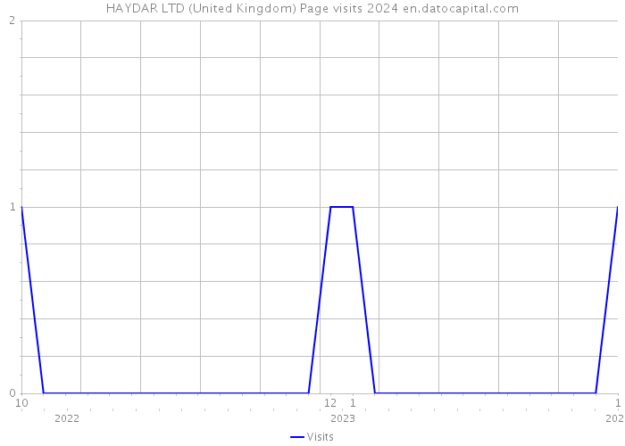 HAYDAR LTD (United Kingdom) Page visits 2024 
