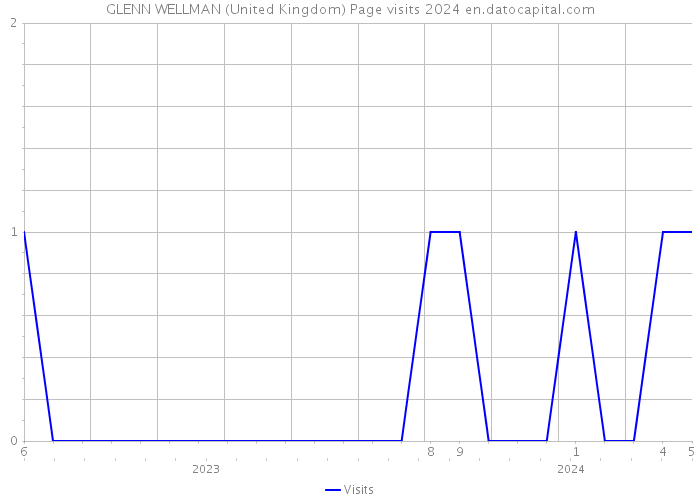 GLENN WELLMAN (United Kingdom) Page visits 2024 