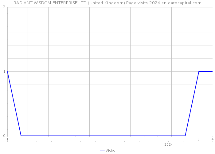 RADIANT WISDOM ENTERPRISE LTD (United Kingdom) Page visits 2024 