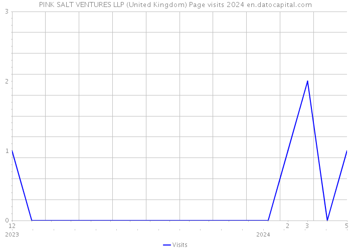 PINK SALT VENTURES LLP (United Kingdom) Page visits 2024 