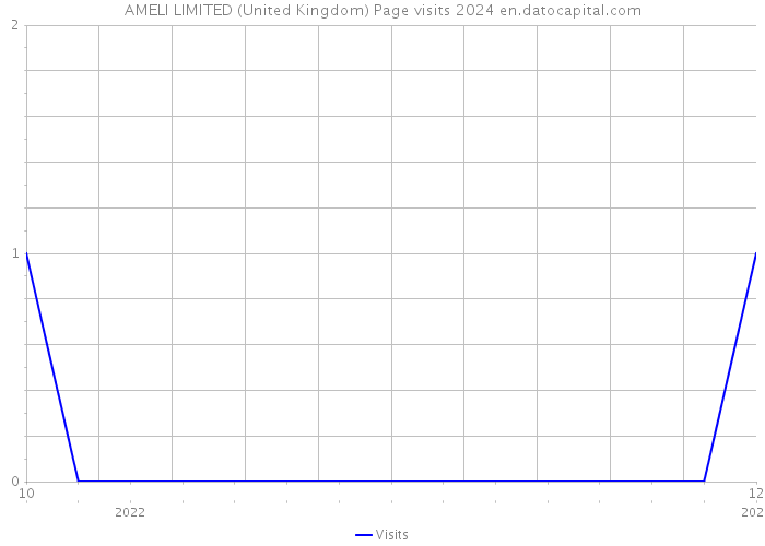 AMELI LIMITED (United Kingdom) Page visits 2024 