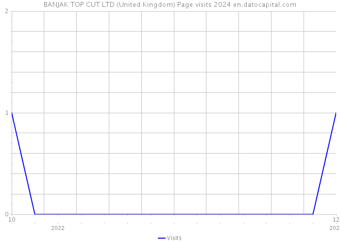 BANJAK TOP CUT LTD (United Kingdom) Page visits 2024 