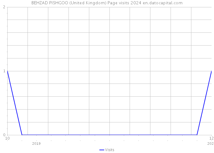 BEHZAD PISHGOO (United Kingdom) Page visits 2024 