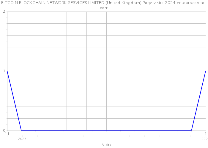 BITCOIN BLOCKCHAIN NETWORK SERVICES LIMITED (United Kingdom) Page visits 2024 