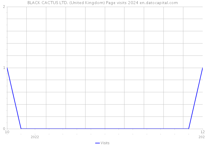 BLACK CACTUS LTD. (United Kingdom) Page visits 2024 
