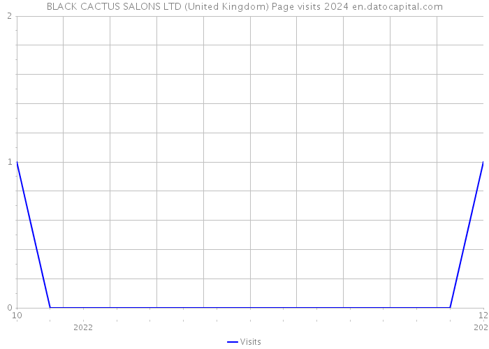BLACK CACTUS SALONS LTD (United Kingdom) Page visits 2024 